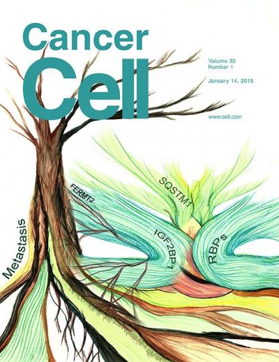 Cancer Cell Cover | EurekAlert! Science
