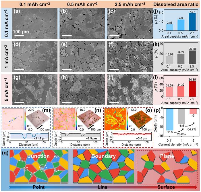 Fig. 1. Electrodissolution behavior and quantitative analysis.