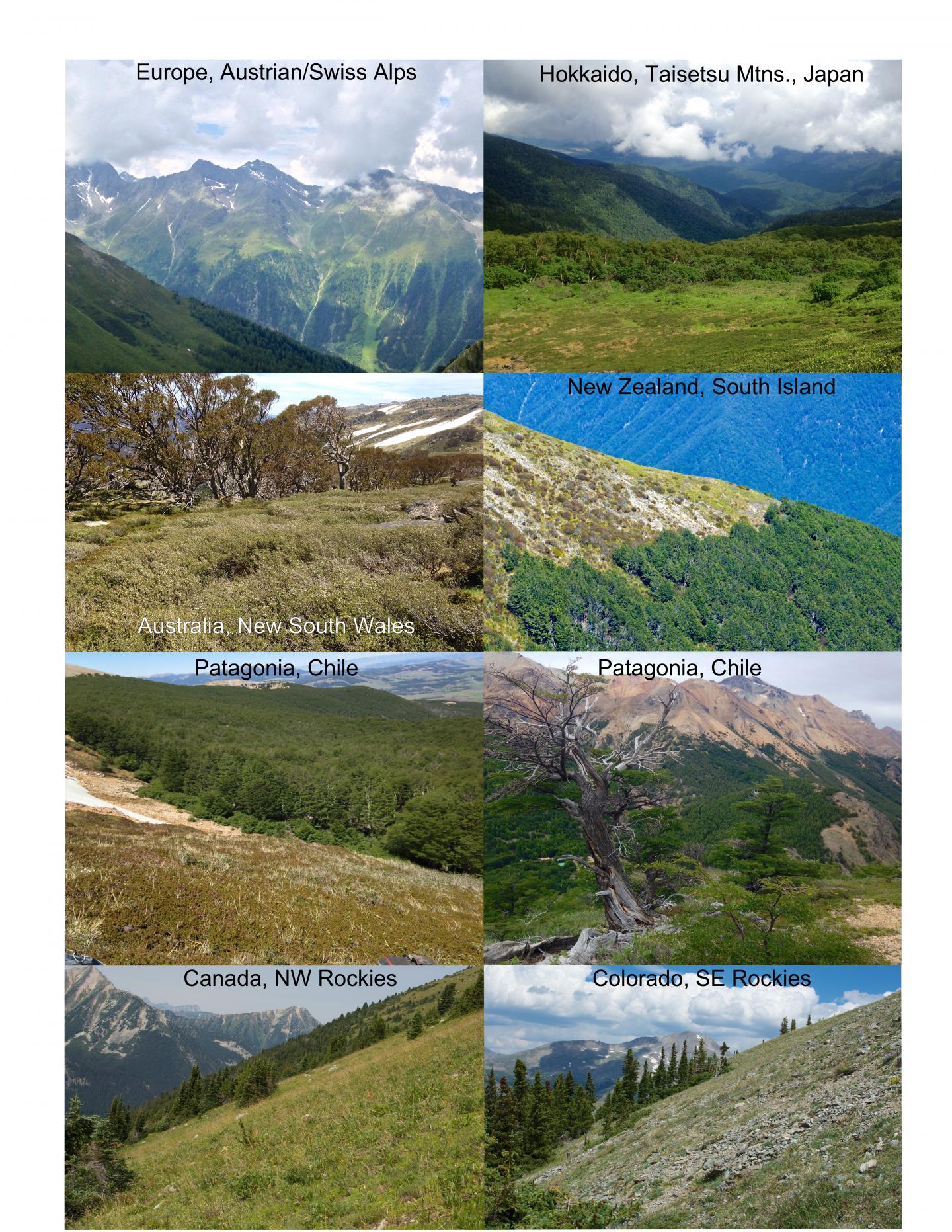 Montage of Eight Mountain Field Research Sites