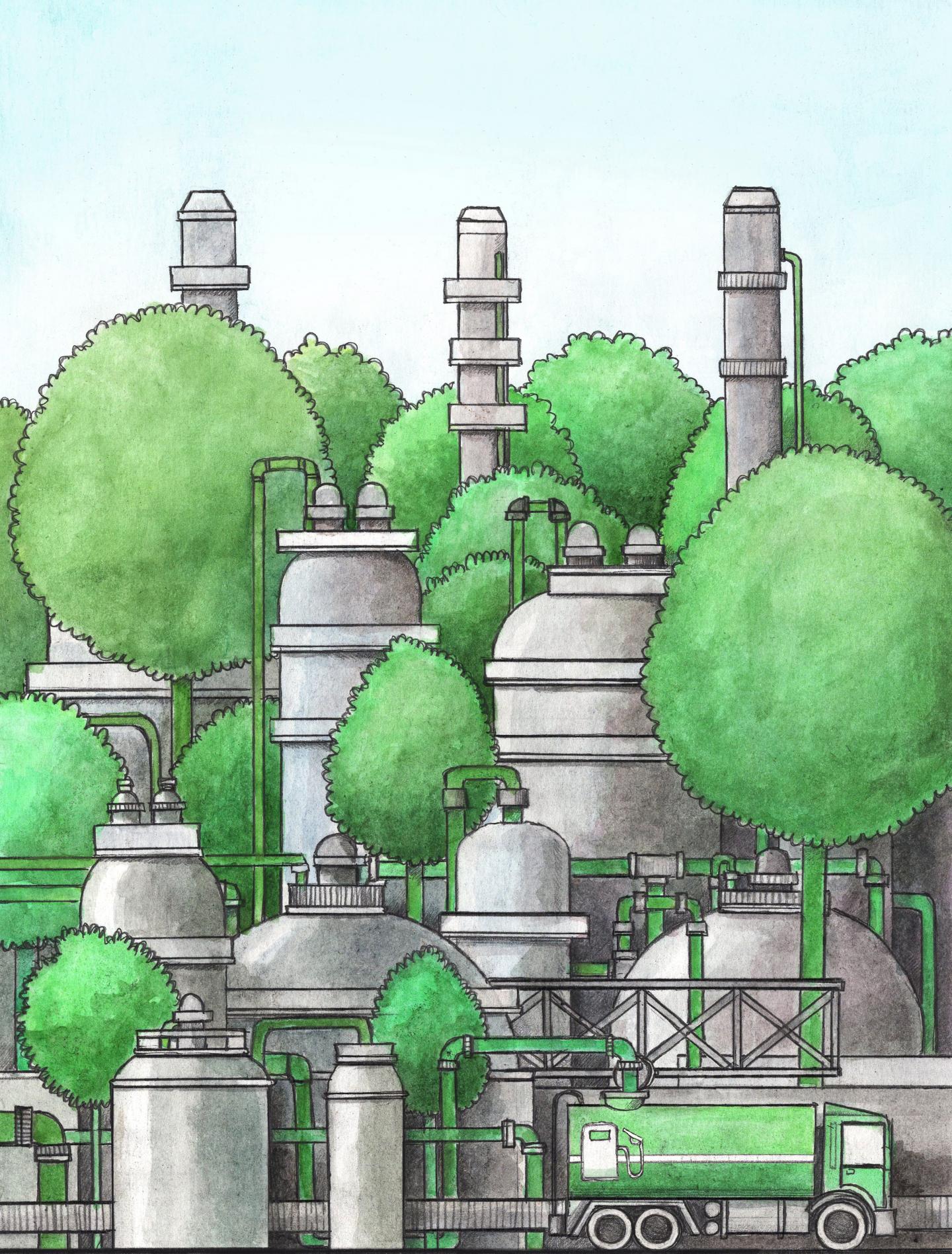 Ready-To-Use Recipe for Turning Plant Waste into Gasoline