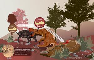 Killer instinct drove evolution of mammals' p - Vimarsana News