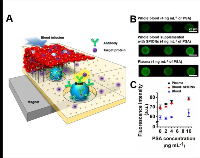 Diamagnetic plasma separation method for biomarker detection