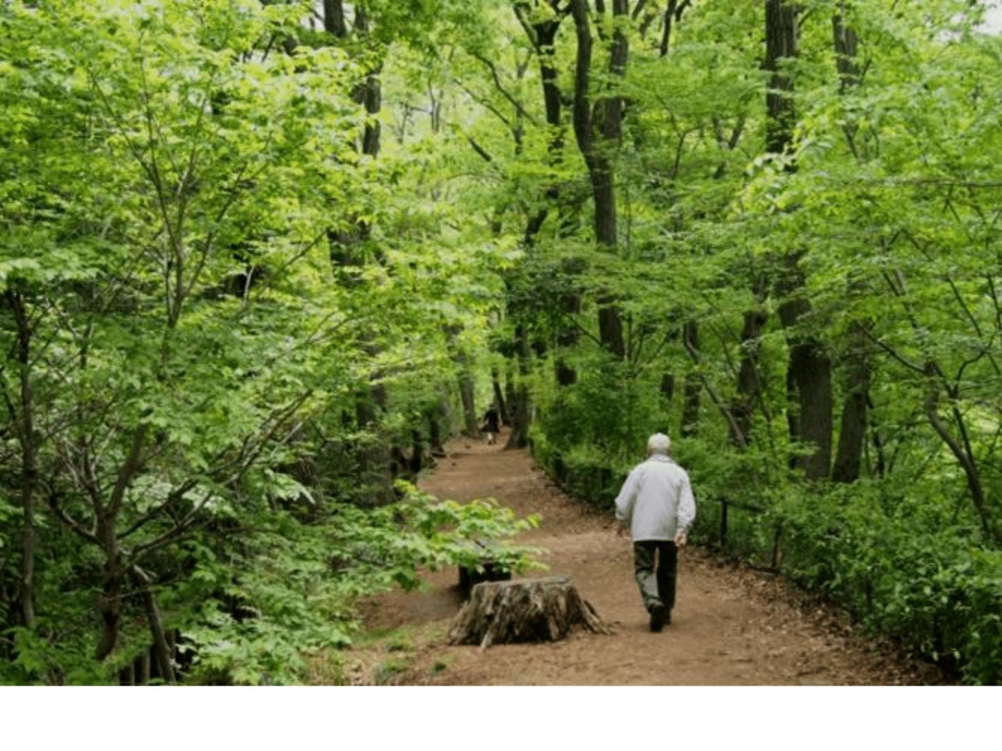 A Regular Dose of Nature May Improve Mental Health During the COVID-19 Pandemic