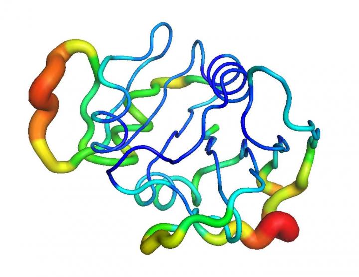 Visualizing Vibrations