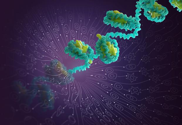 Chromatin Usage in Individual Cells Reveals Developmental Trajectories. IMAGE: EMBL
