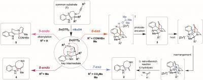 Programmable divergent synthesis of four distinct alkaloidal scaffolds via Zn(OTf)2-mediated annulations