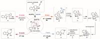 Programmable Divergent Synthesis of Four Distinct Alkaloidal Scaffolds