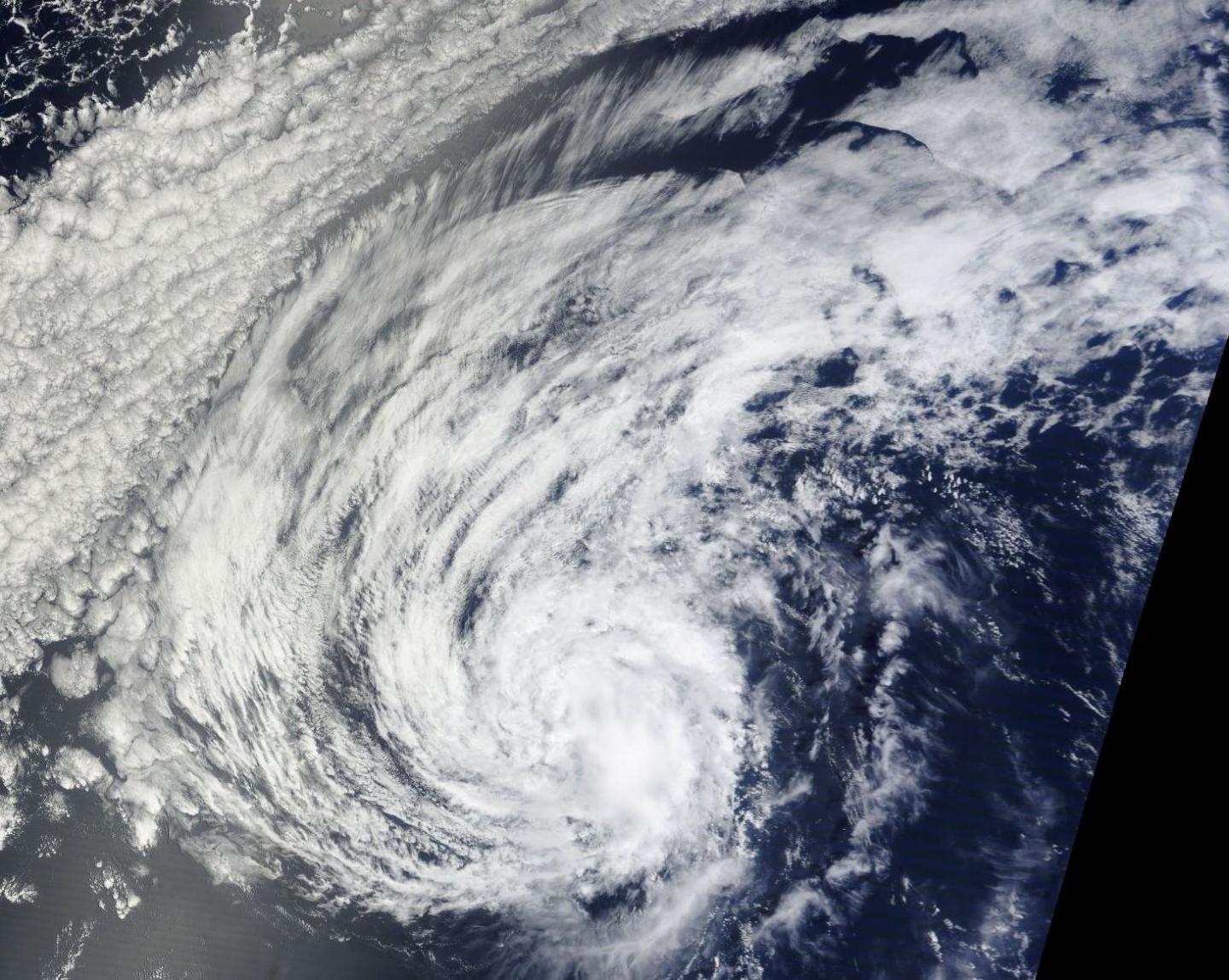 Terra Image of Agatha