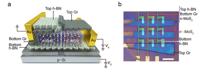 Photon-controlled diode and a photomemory array without using any selectors.