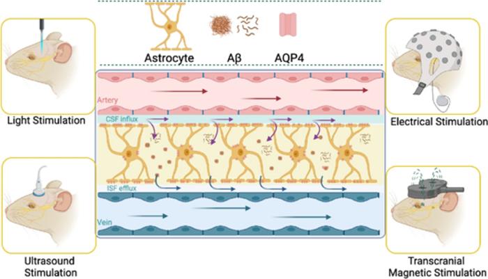 Physical methods manipulate brain ECS potentially through glymphatic system