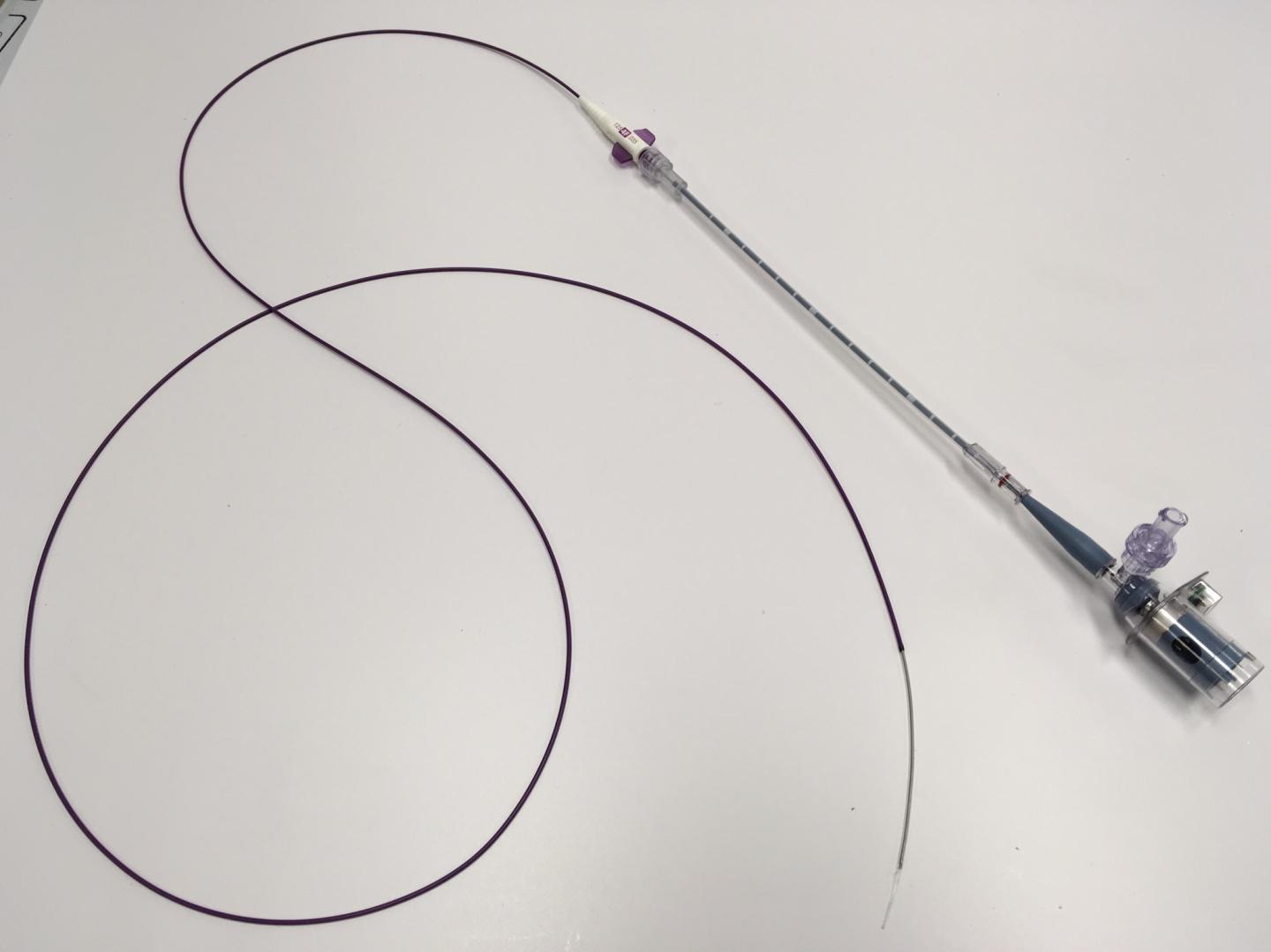 New Cardiac Catheter Combines Light and Ultrasound to Measure Plaques