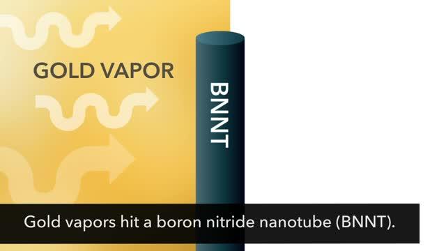 2D Gold Quantum Dots on Boron Nitride Nanotube (2 of 2)