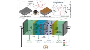 Mussel-inspired membrane