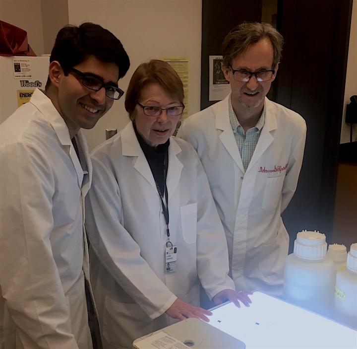 Anemia Discovery Offers New Targets to Treat Fatigue that Affects Millions