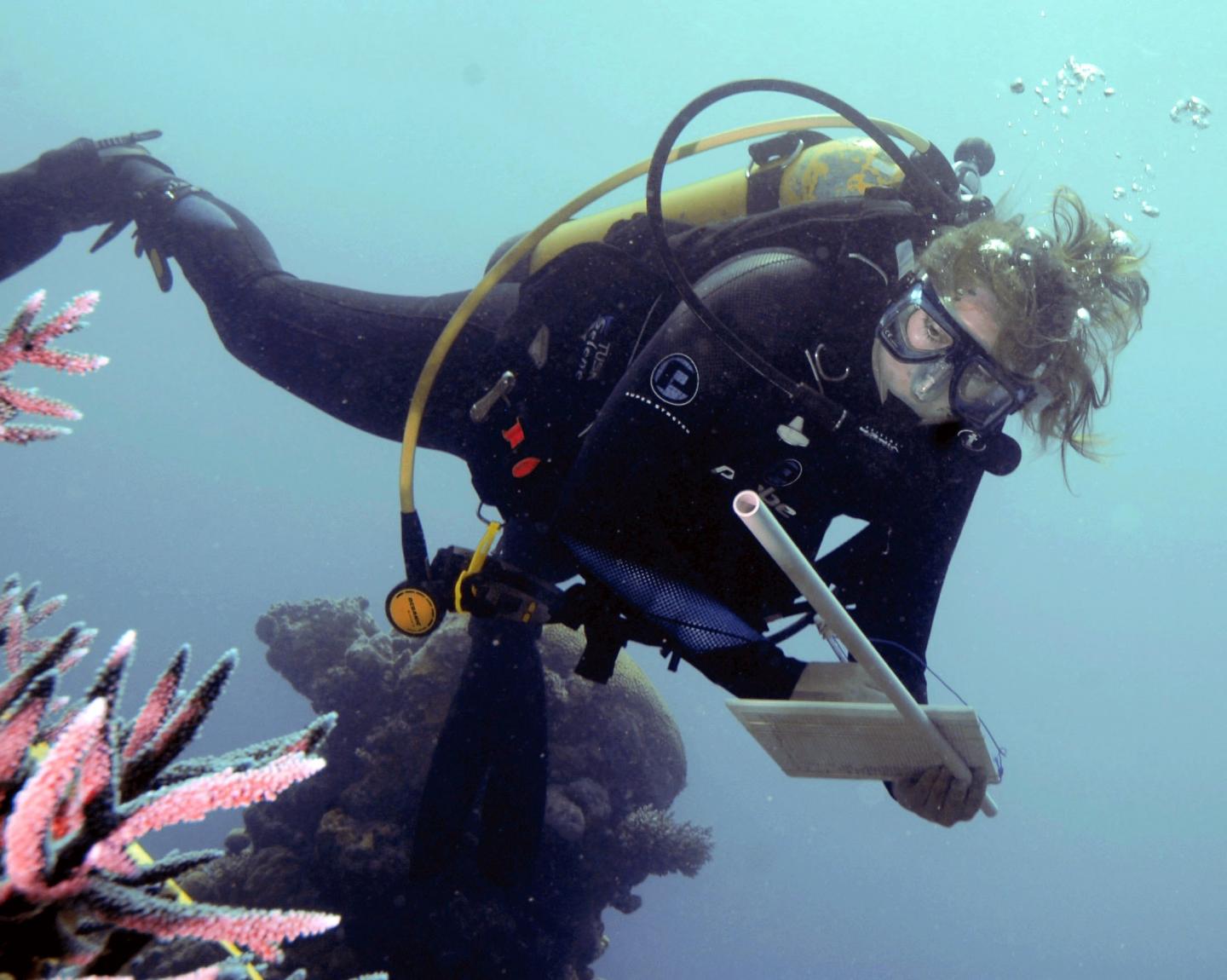 UCI Biologist Joleah Lamb Scuba Diving at a Reef