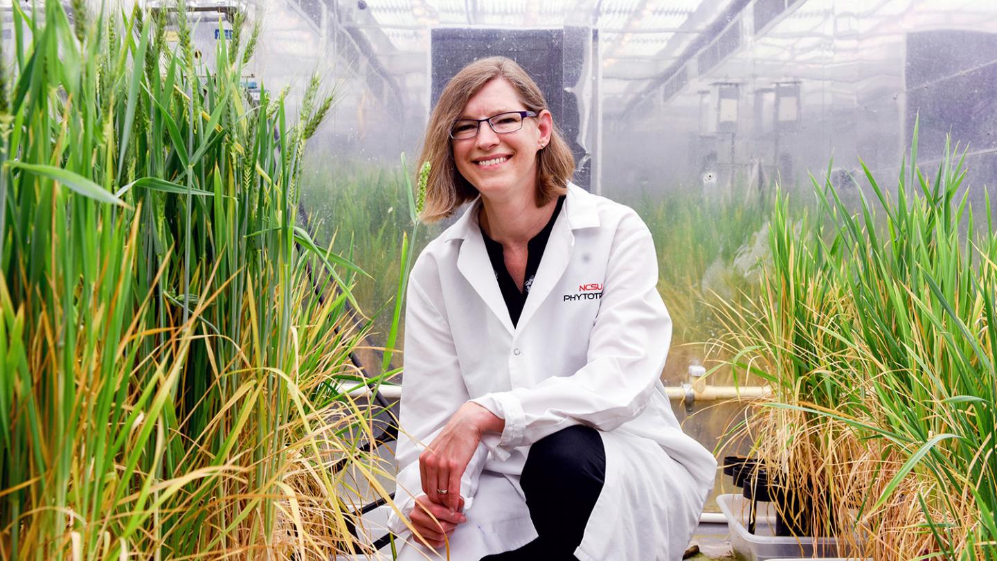 Crop Resilience Is Focus of New Interdisciplinary Research