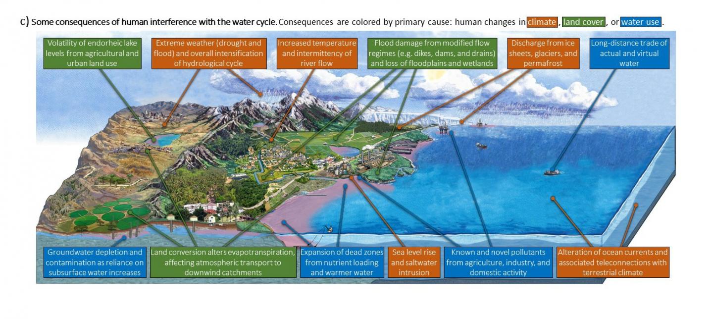 Consequences of Human Interference in the Water Cycle