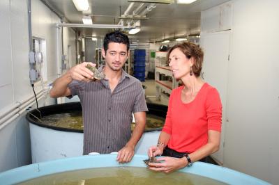 Queen Conch Cultured Pearls -- Co-Inventors