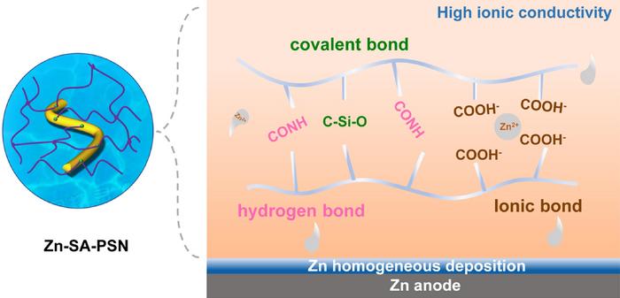 Structural Features and Ionic Interactions in Zn–SA–PSN Hydrogel Electrolyte for Enhanced Battery Performance