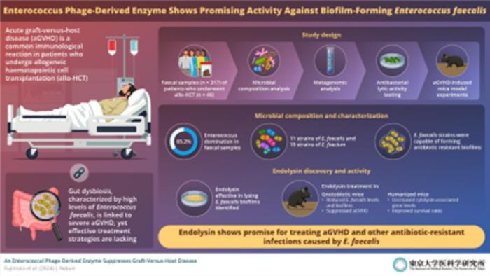 Endolysin, a phage-derived antibacterial enzyme demonstrated specific activity against pathogenic Enterococcus bacteria.