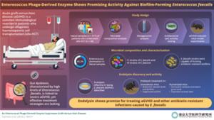 Endolysin, a phage-derived antibacterial enzyme demonstrated specific activity against pathogenic Enterococcus bacteria.