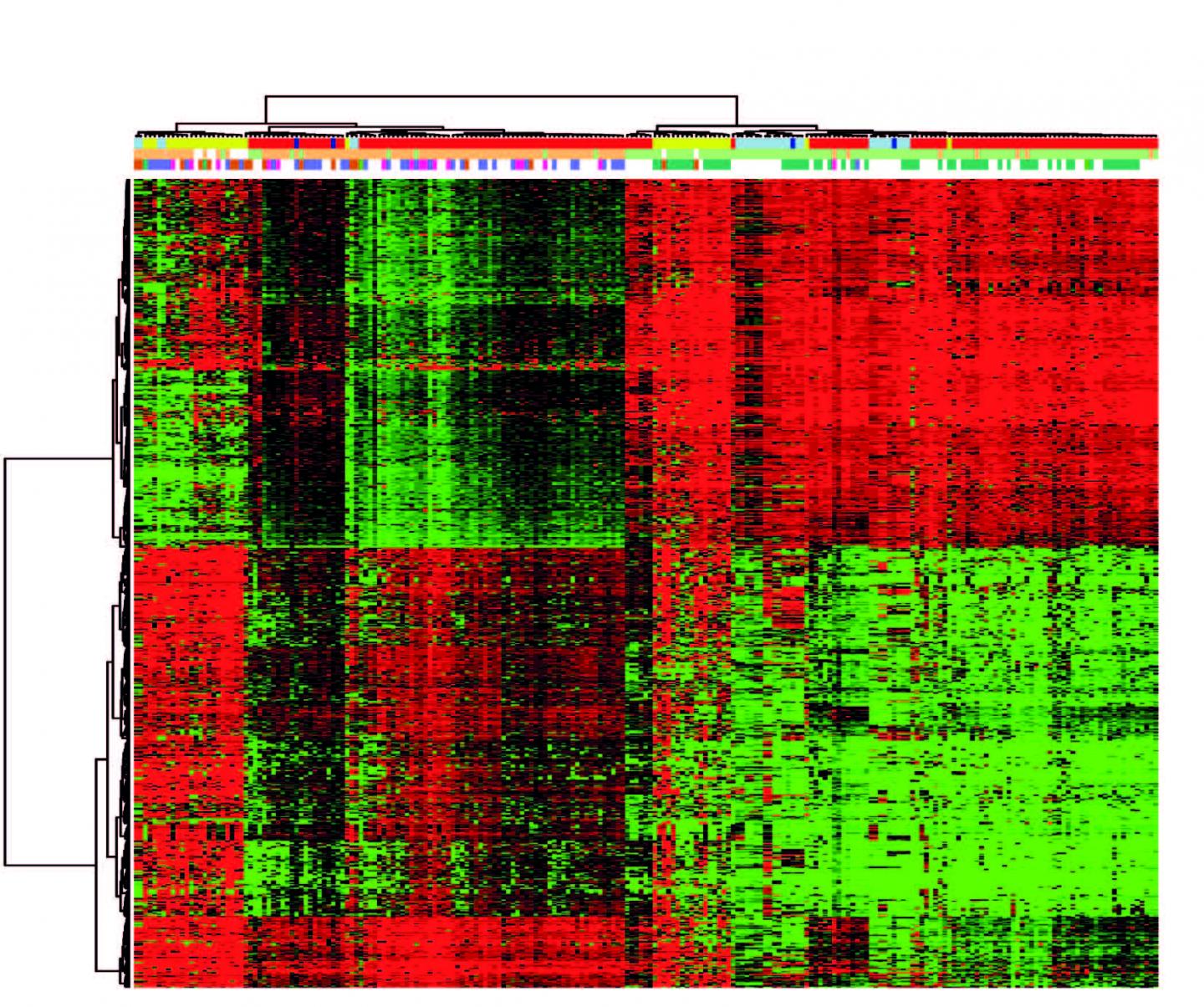 Heatmap