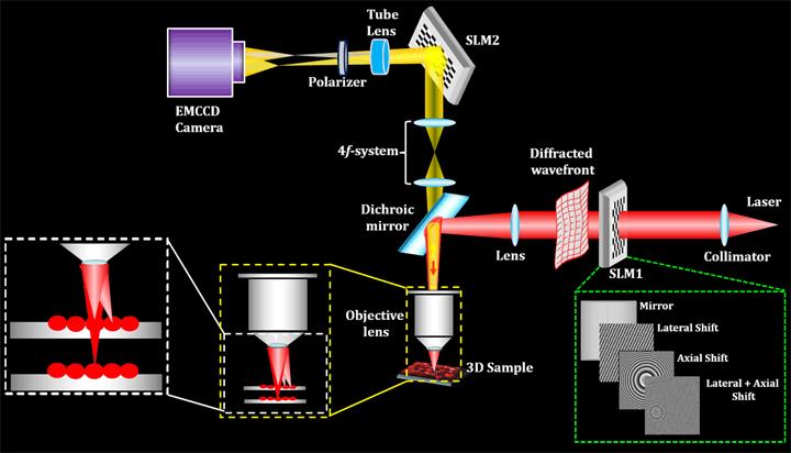 Manipulating Cell Networks with Light -- New Frontiers in Optical Microscopy (2)