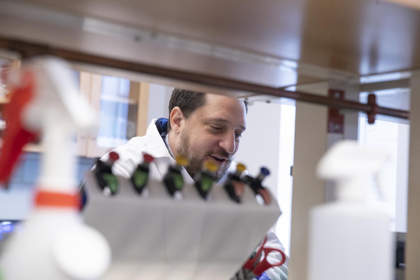 Potential Way to Halt both Forms of Blinding AMD Identified