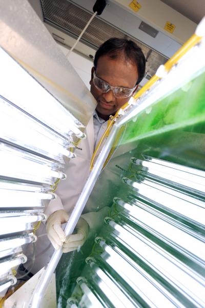 Dr. Raveender Vannela, Arizona State University