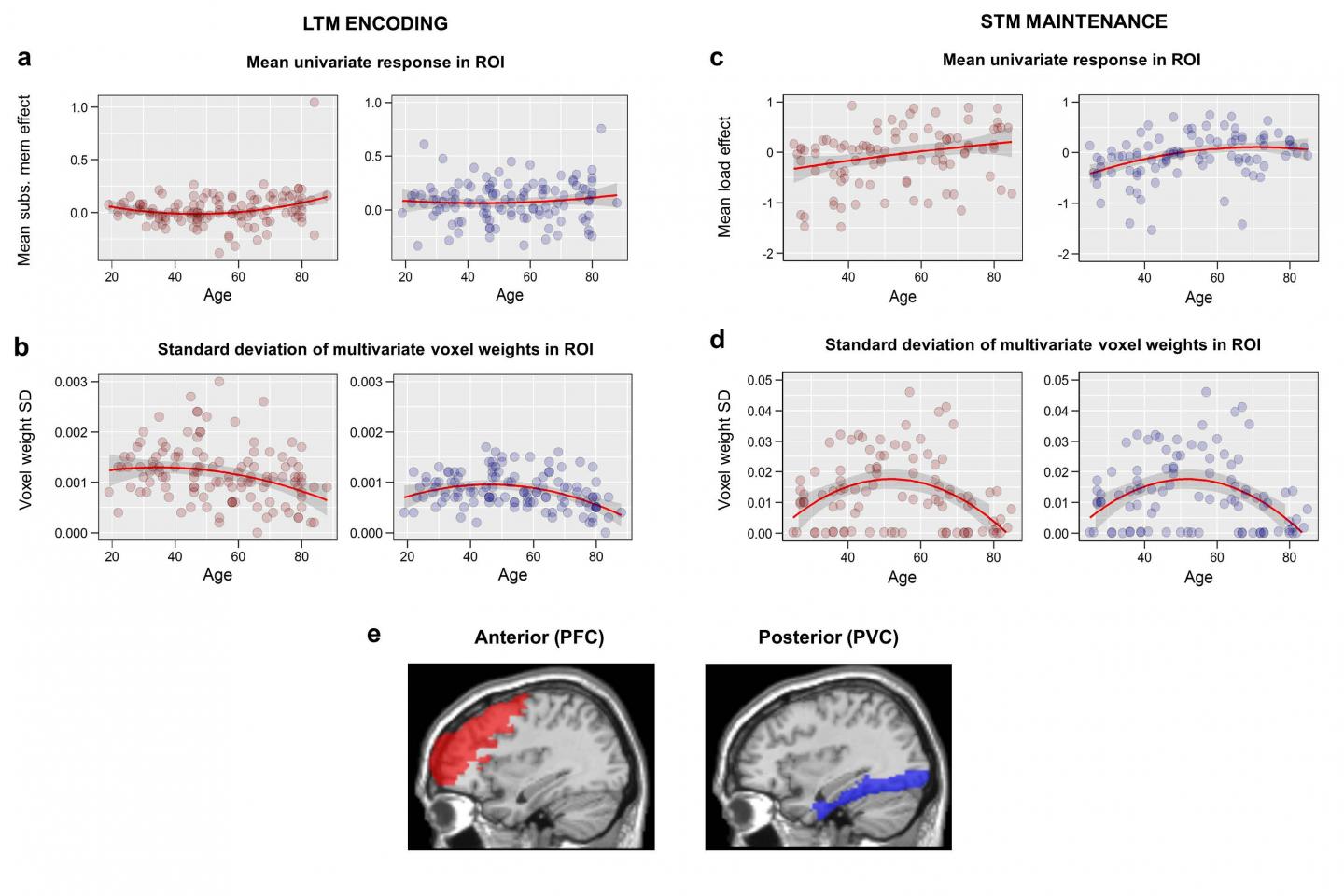 Aging Brain Activity