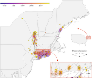 Dispersal History of Powassan Virus Lineage 2 Viruses