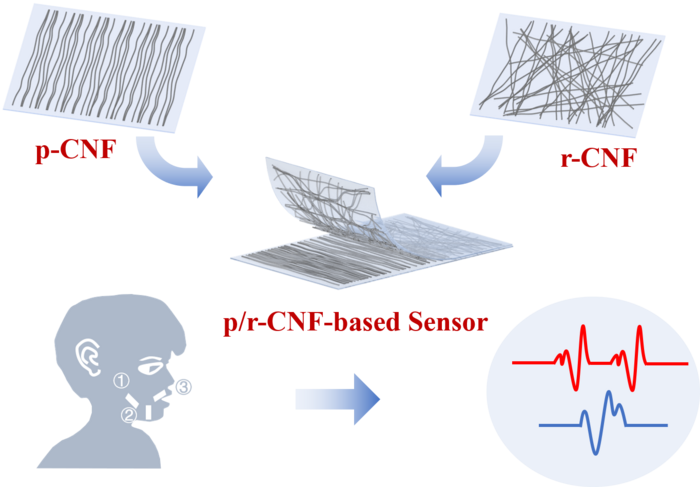 Stacking carbon nanofibers with different alignment advances flexible strain sensor performance