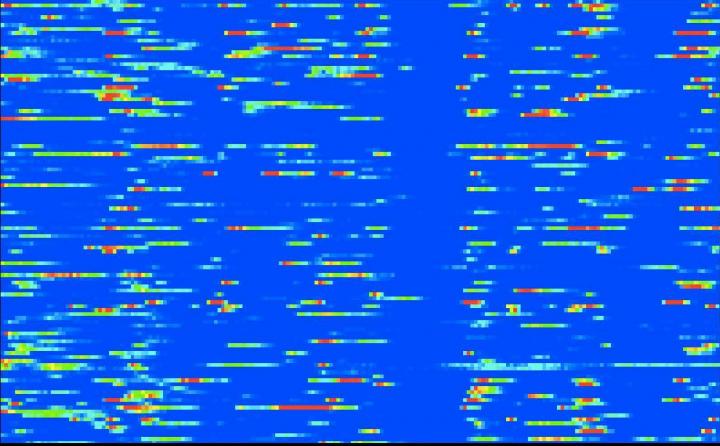 Neurons in the Human Eye are Organiszd for Error Correction