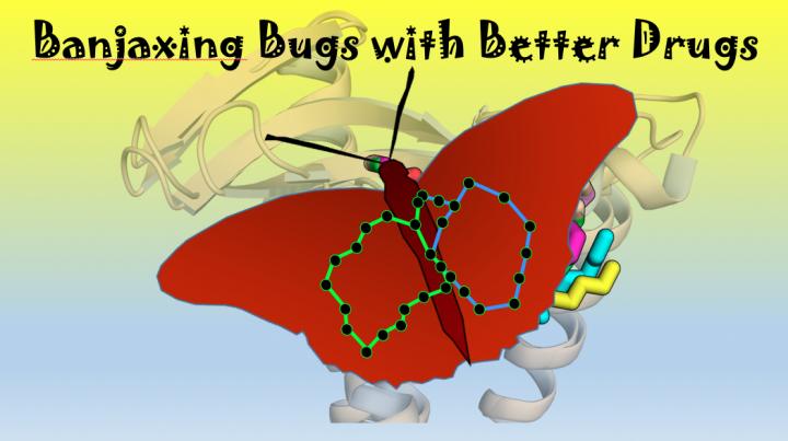 Banjaxing Bugs with Better Drugs
