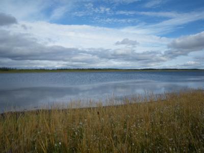 Twelvemile Lake