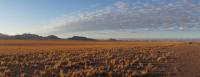 Namib in the Morning