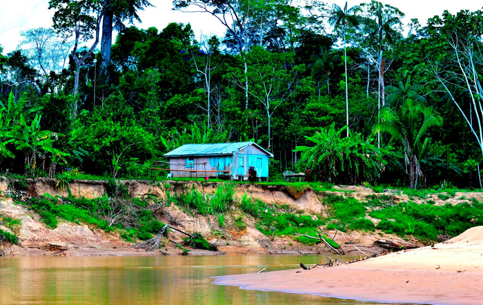 Brazillian Amazonia