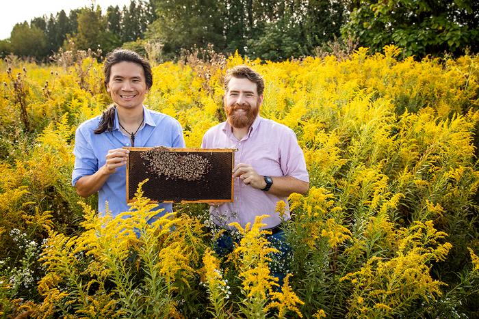 Researchers in the field