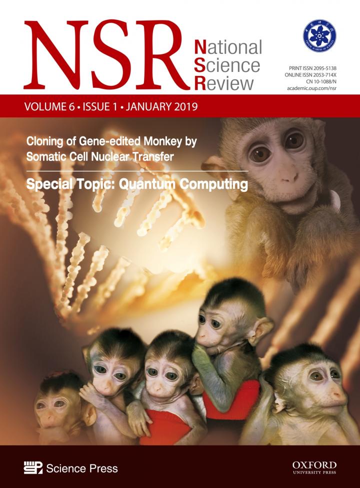 NSR Cover Image