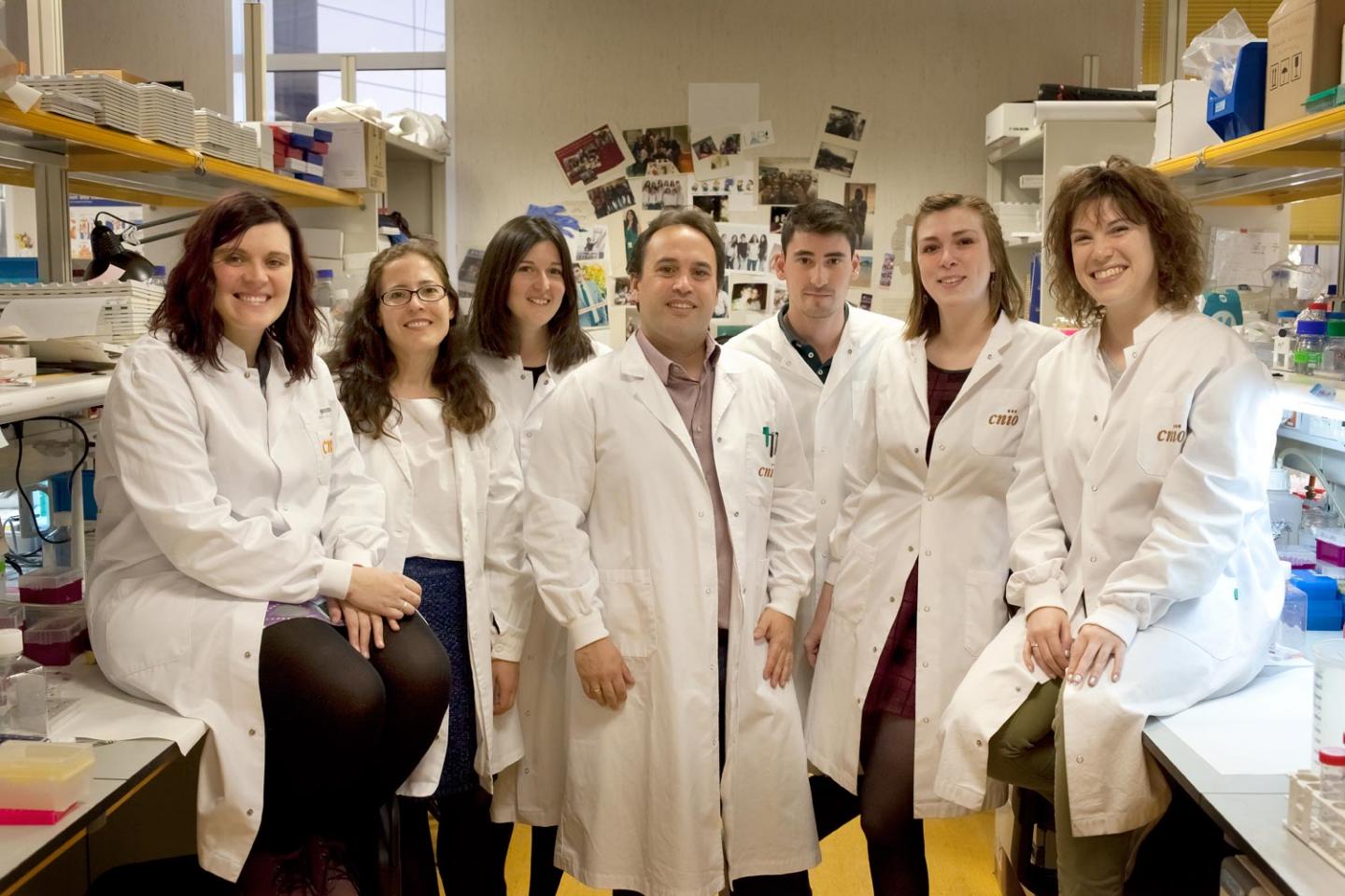 CNIO Microenvironment and Metastasis Group