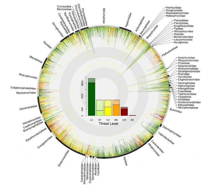 Distribution of at risk frogs image eurekalert science news releases