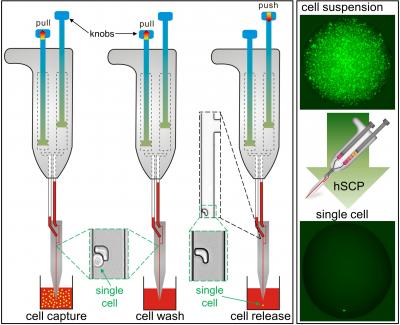 Handheld Single-cell Pipette