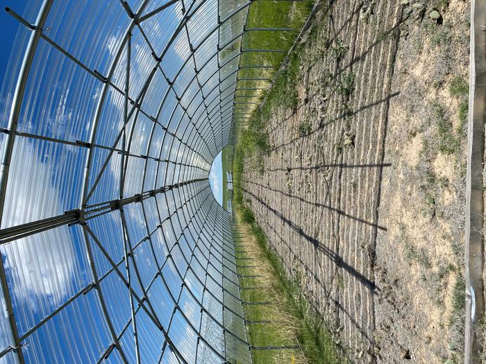 Shelters used to recreate drought conditions