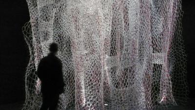 Visualizing the Unseen in Nature