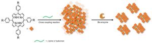 Synthesis of shaped nanoparticles by enzyme treatment