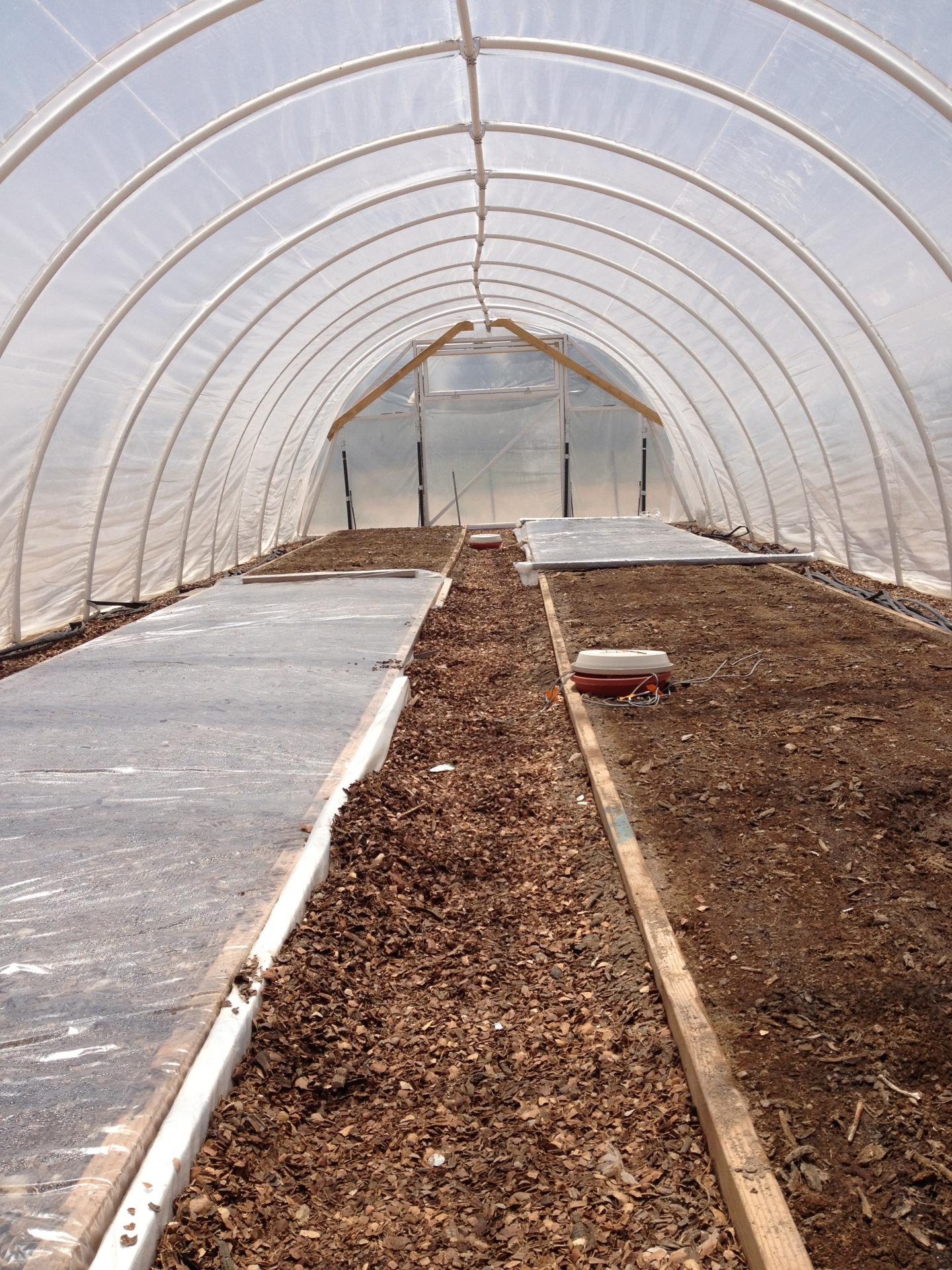 Polyethylene Mulch, Glazing Create Optimal Conditions for Soil Solarization