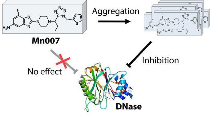 Maruyama Aggregates Summary