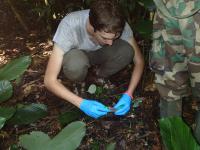 Collecting Fecal Samples