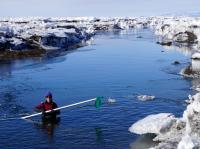 Alison Banwell Wades in Antarctic Meltwater