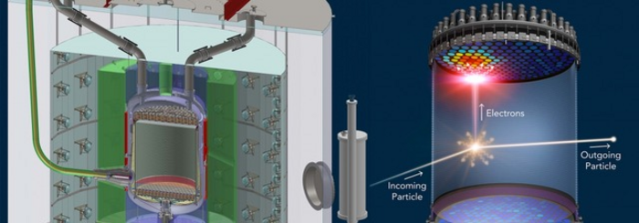 LZ Detector & Operation Illustration